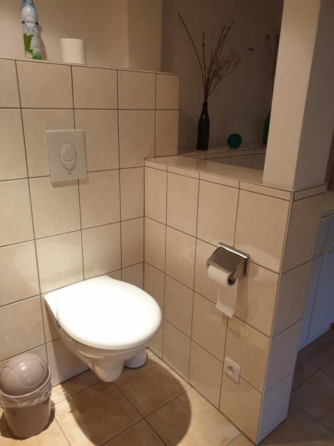 Appartement Proche D'Europa Park/Marches De Noel Rhinau Ngoại thất bức ảnh