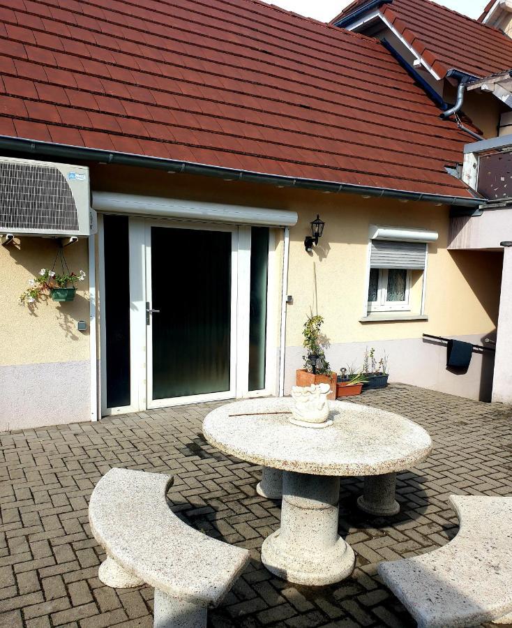 Appartement Proche D'Europa Park/Marches De Noel Rhinau Ngoại thất bức ảnh